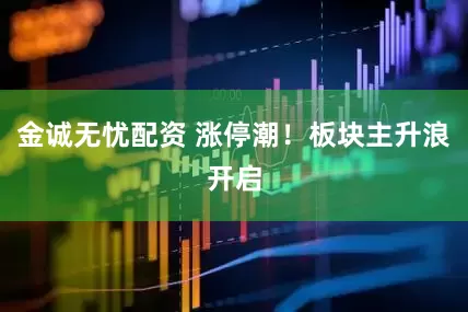 金诚无忧配资 涨停潮！板块主升浪开启