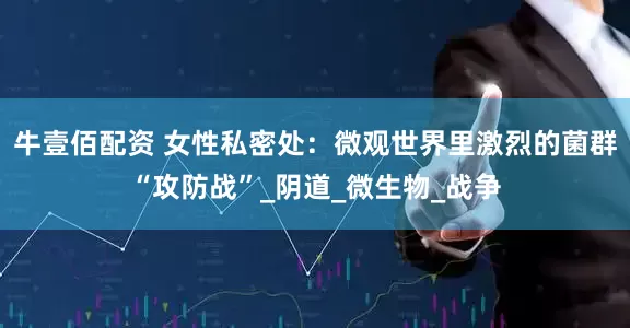 牛壹佰配资 女性私密处：微观世界里激烈的菌群“攻防战”_阴道_微生物_战争