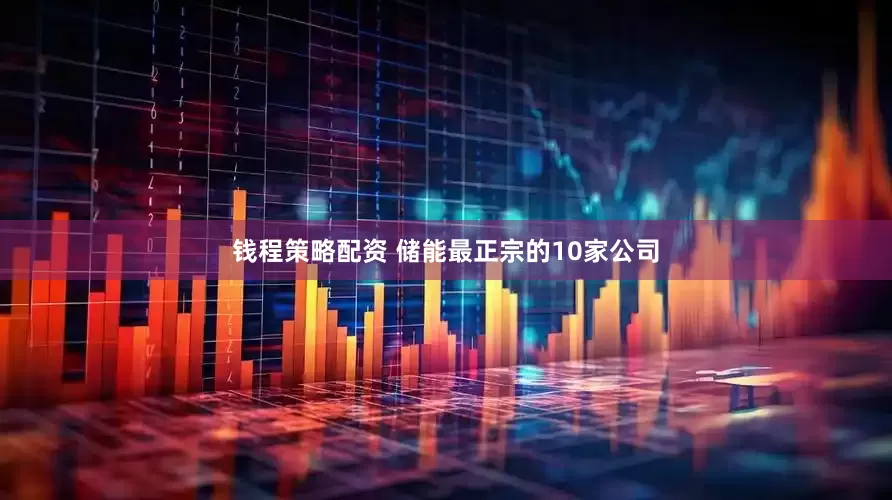 钱程策略配资 储能最正宗的10家公司